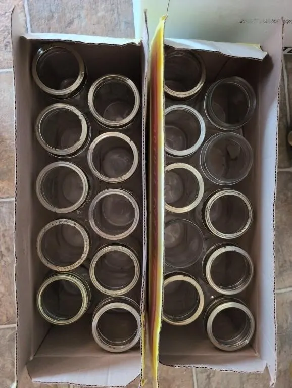 2 boxes pint jars