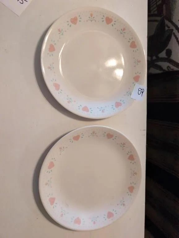 2 Corelle plates