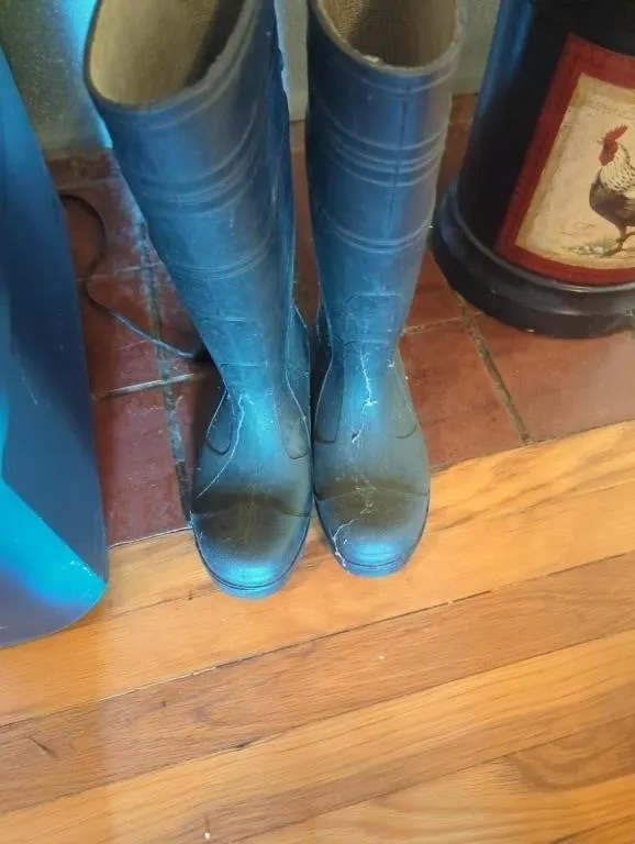 Size 6 womens boots