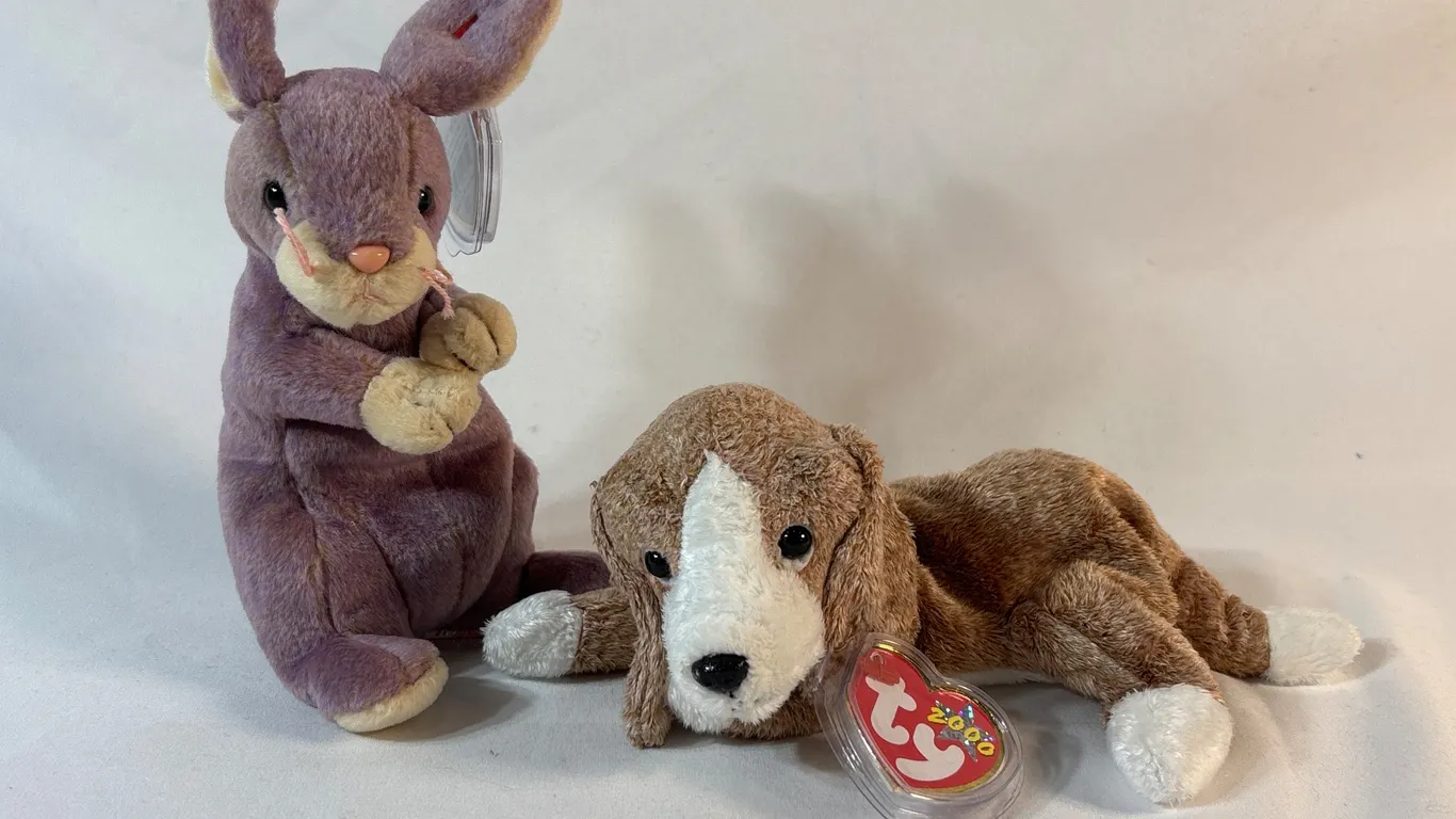 2 TY Beanie Babies