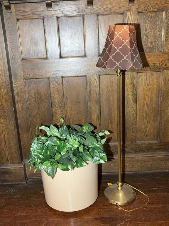 Artificial Plant and Floor Lamp