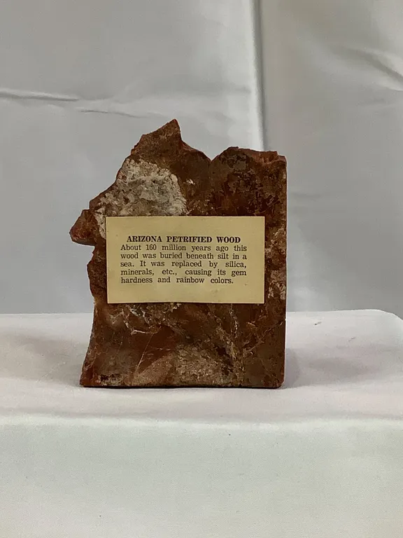 Arixona Petrified Wood