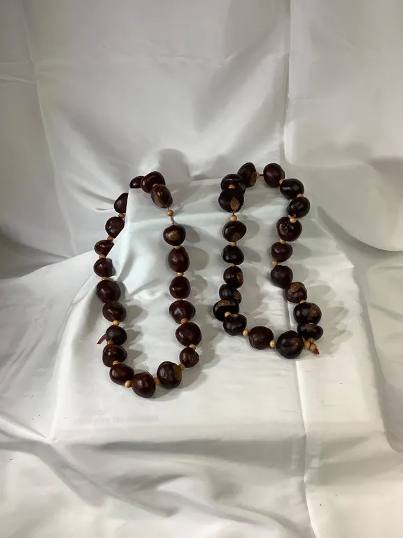 Buckeye Necklace