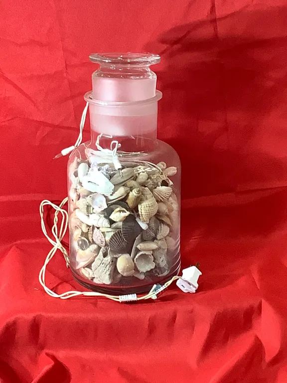 Light up your life with sea shells