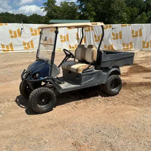2017 CUSHMAN 651390G01 SN: 3254783 2-SEATER GOLF CART