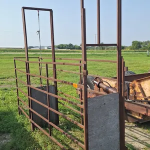 16 Ft Long shoot