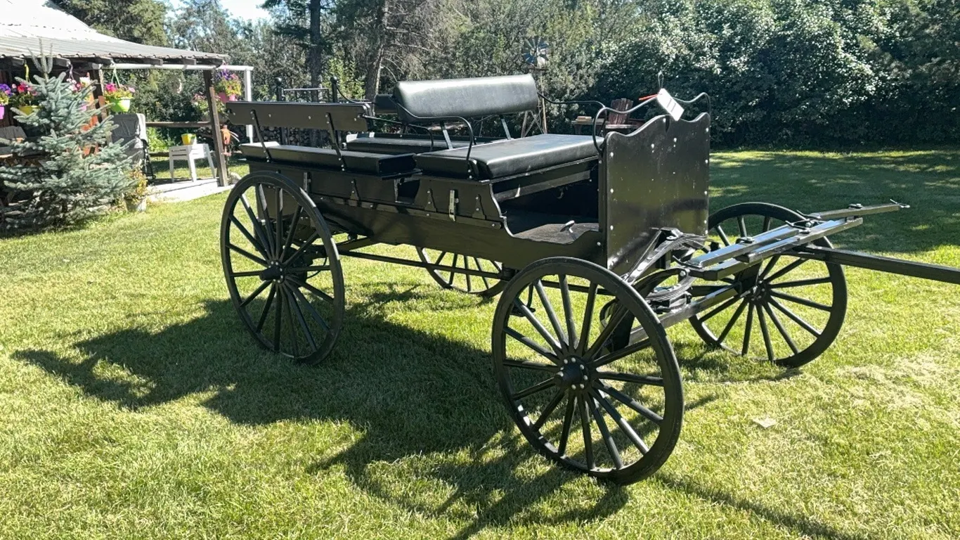 VINTAGE COACH / PROCESSIONAL WAGON