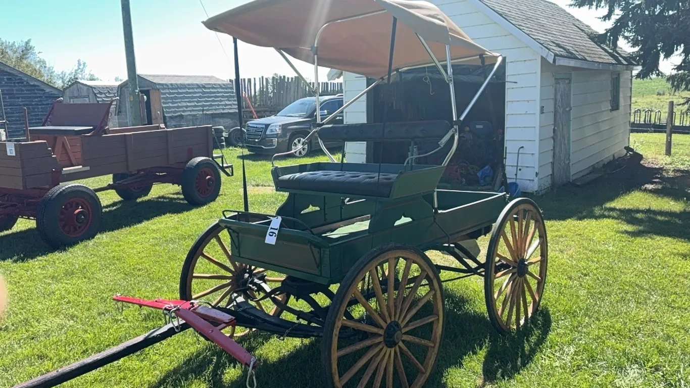 SINGLE SEAT BUGGY w/ CANOPY