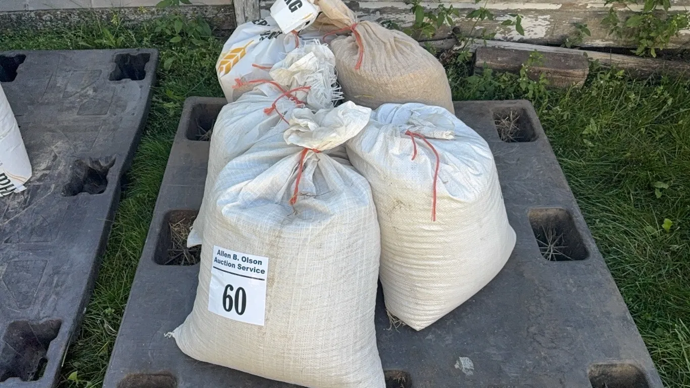 5 BAGS OF CLEANED WHOLE OATS