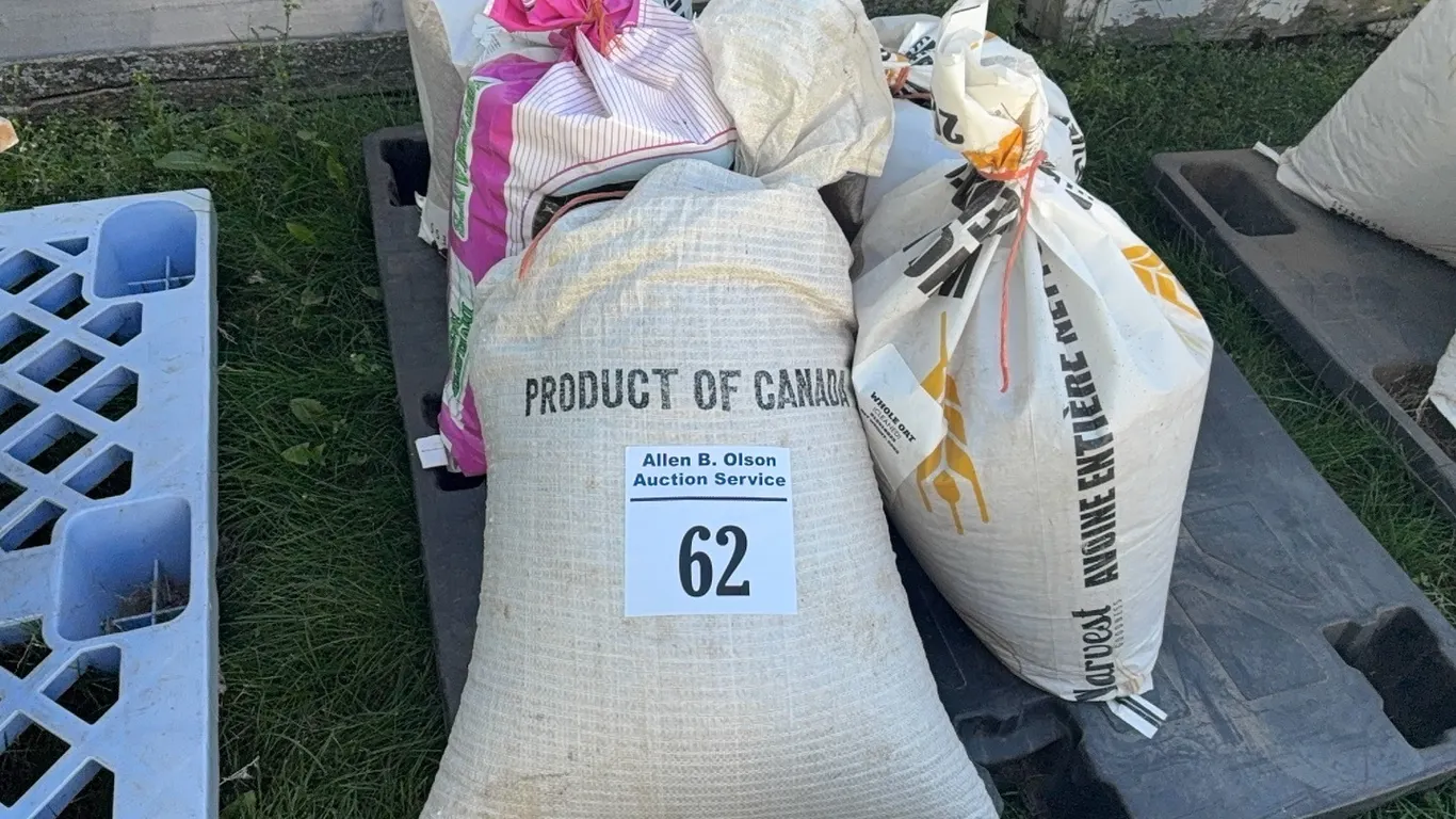 5 BAGS OF CLEANED WHOLE OATS