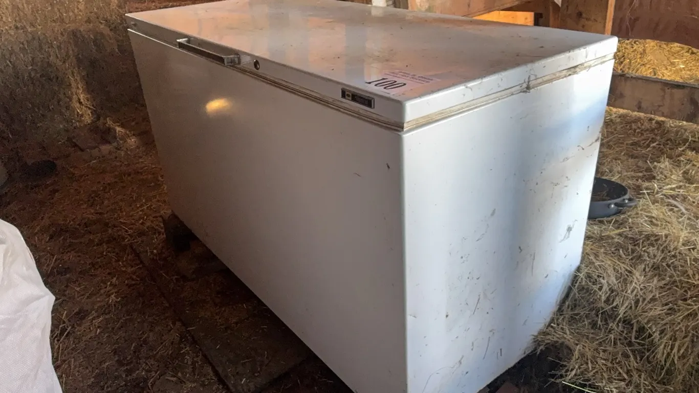 NON WORKING CHEST FREEZER USED FOR GRAIN STORAGE