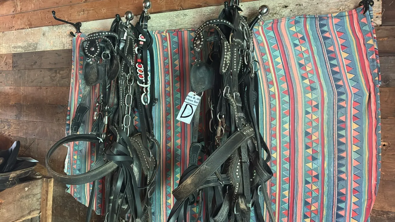 1 SET BIOTHANE HARNESS - COLORED SPREADERS