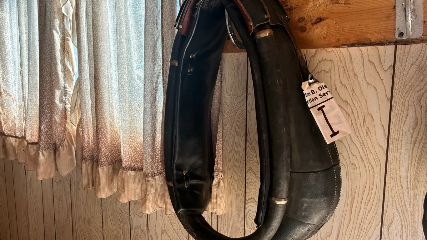 ADJUSTABLE COLLAR COMES w/ SWEAT PAD, FITS 23 - 25"