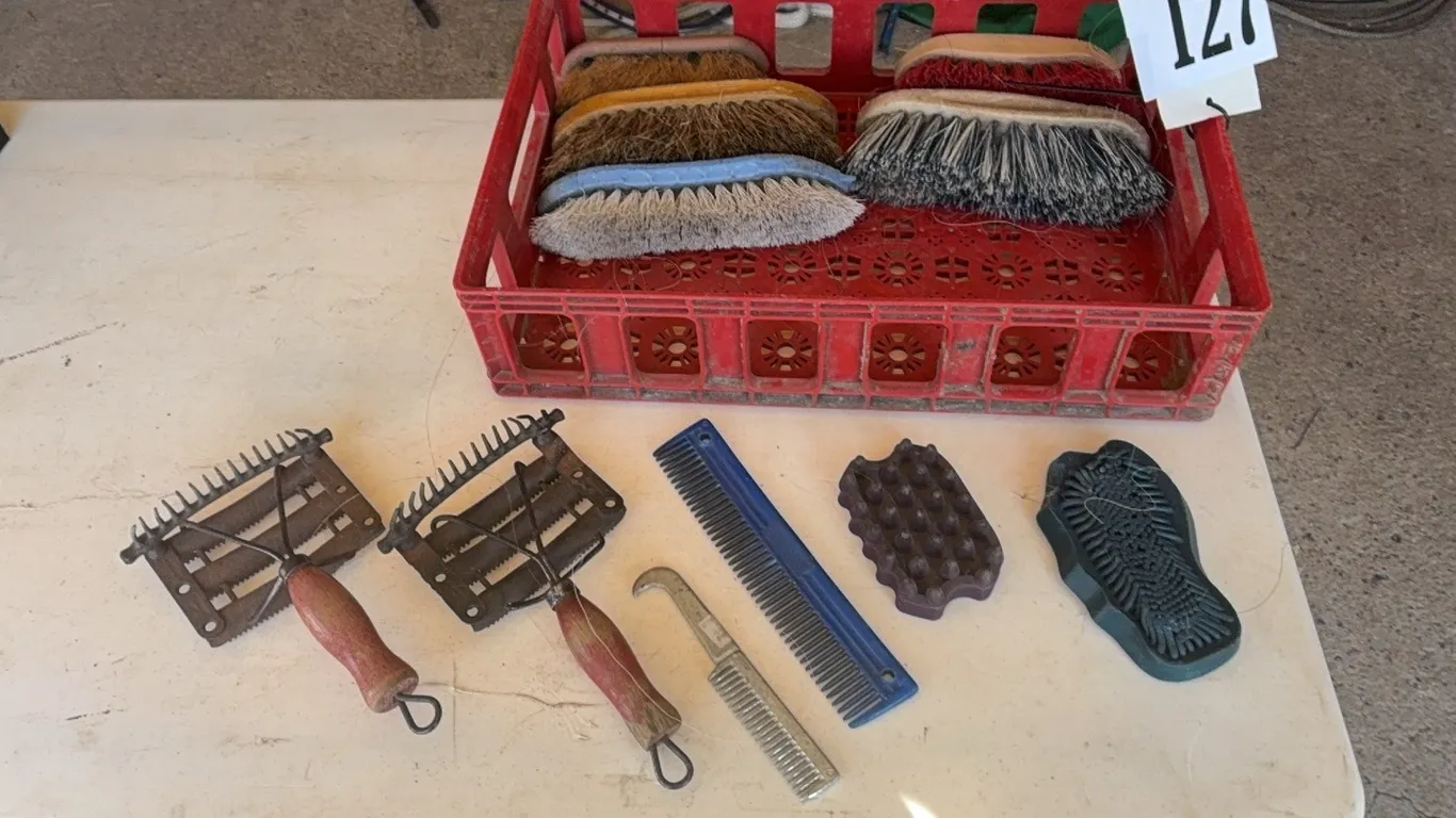 VARIETY OF BRUSHES & COMBS