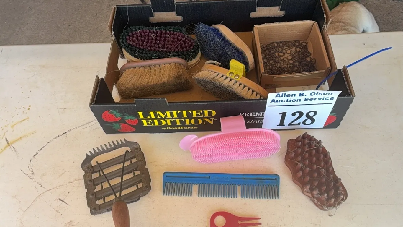 VARIETY OF BRUSHES & COMBS