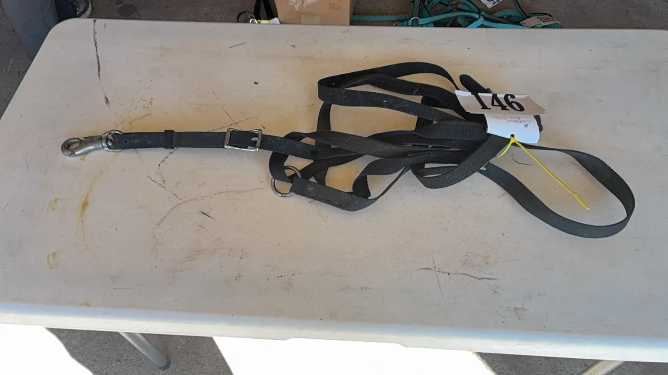 1 WAGON BUCK STRAP