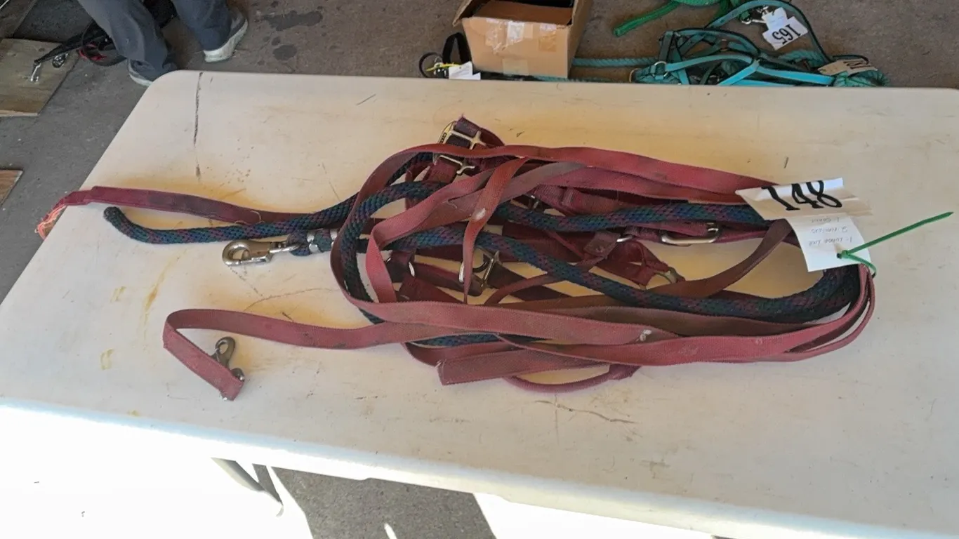 1 LUNGE LINE, 2 HALTERS, 1 SHANK