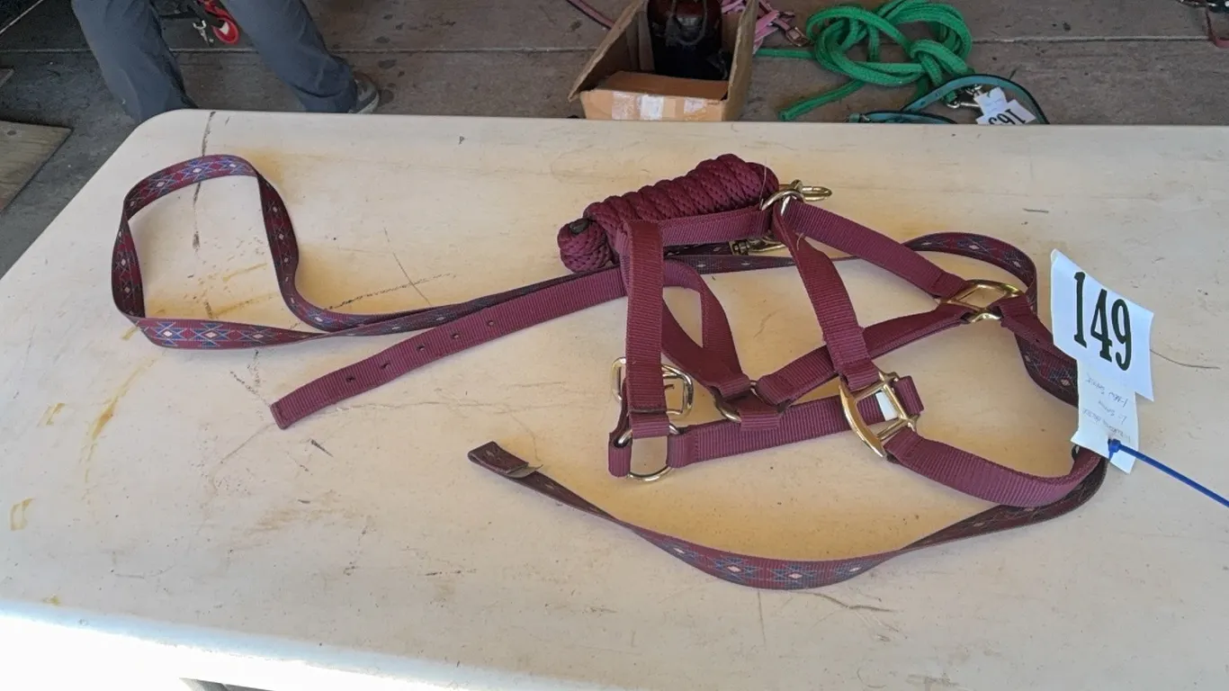 1 HALTER, 1 SHANK, 1 NEW/UNUSED SHANK