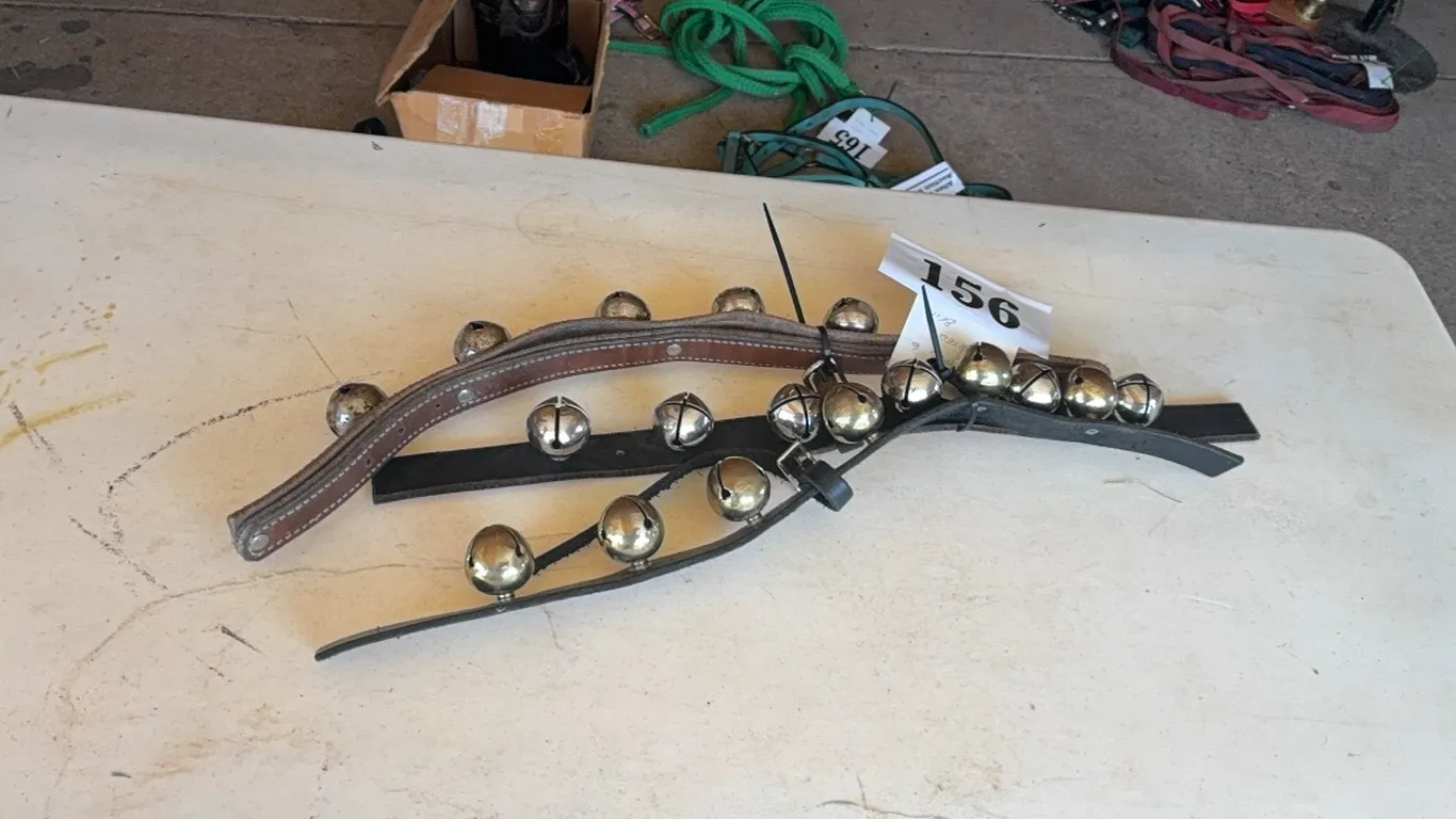 3 STRAPS w/ 6 ASSORTED BELLS ON EACH