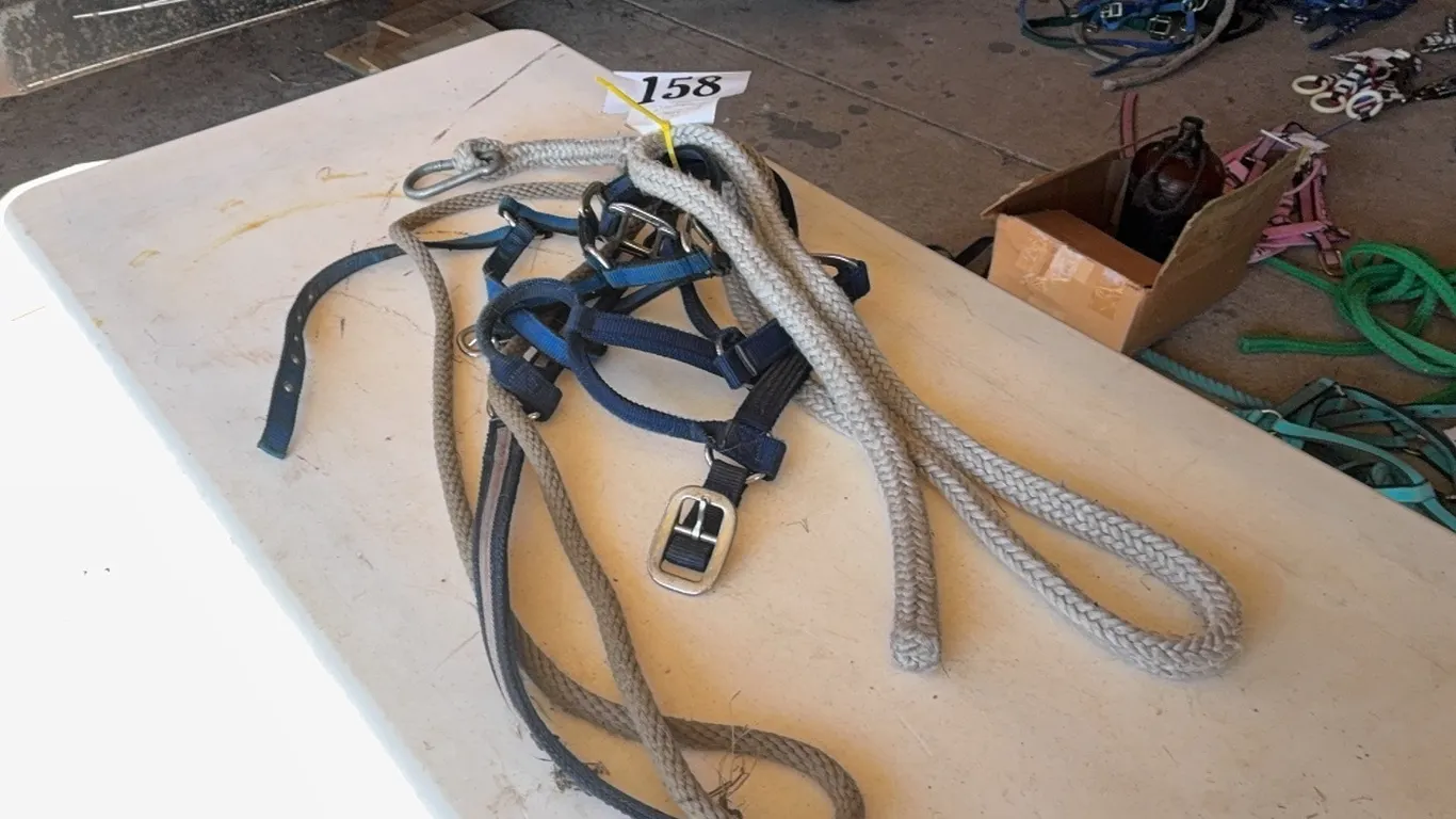 2 HALTERS, 2 SHANKS