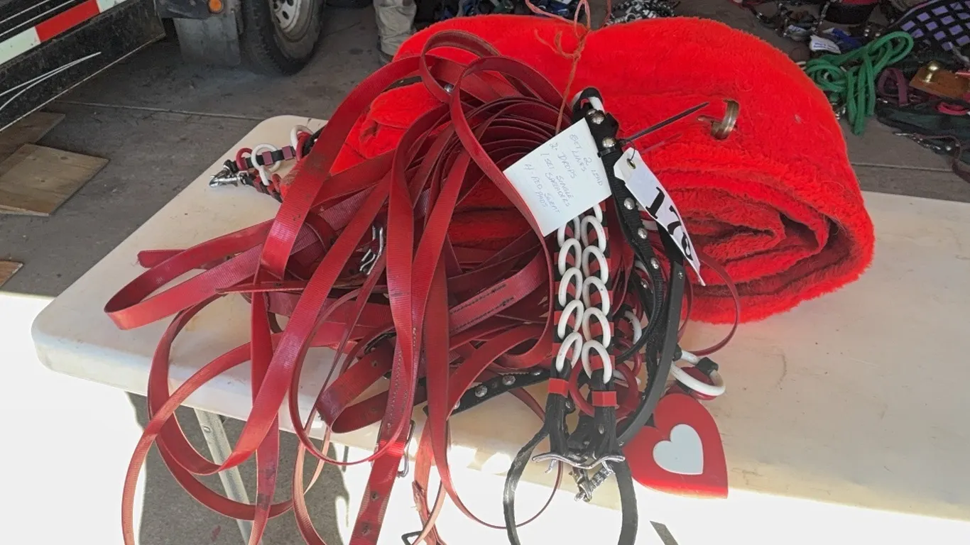SET OF 2 LEAD LINES, 2 DROPS, 1 SET SINGLE SPREADERS, 4 RED SWEAT PADS