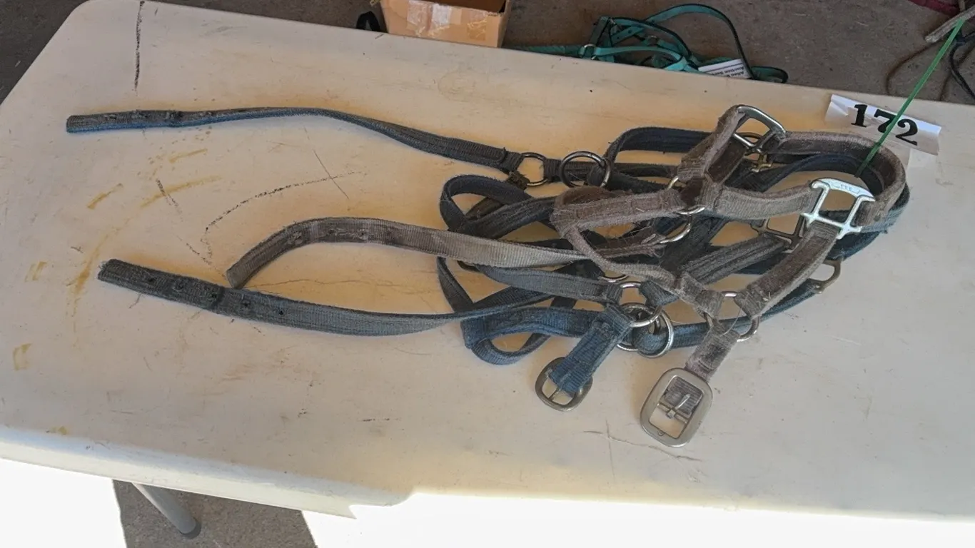 HALTERS - 2 BLUE & 1 BROWN MEDIUM SIZE