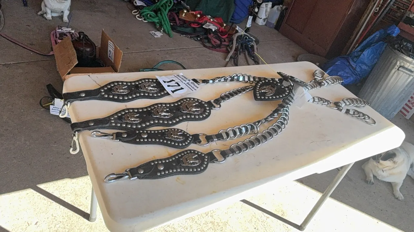 1 SET HARNESS DROPS CHROME, 1 SET CHROME SPREADERS