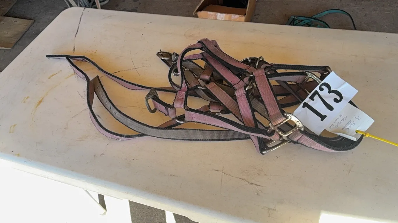 HALTERS - 2 PINK & 1 BROWN MEDIUM SIZE
