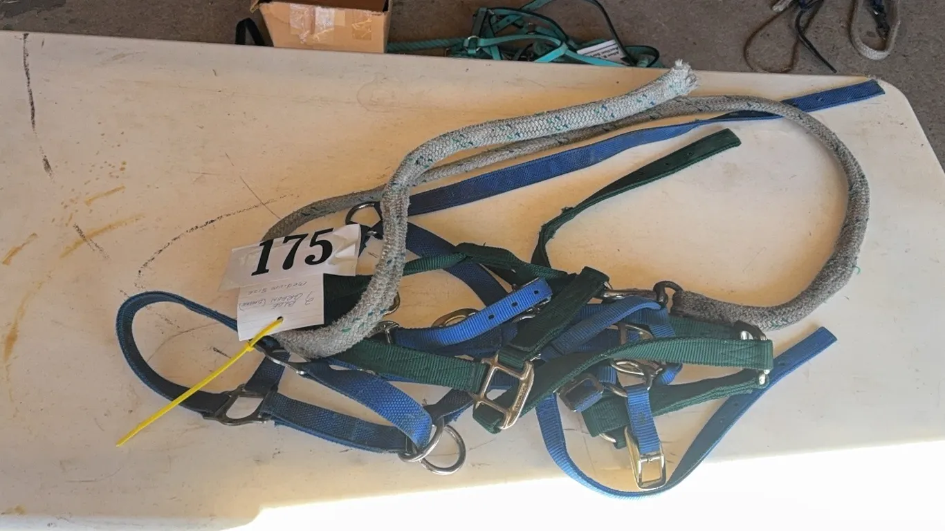 HALTERS - 2 BLUE & 1 GREEN MEDIUM SIZE & 1 SHANK