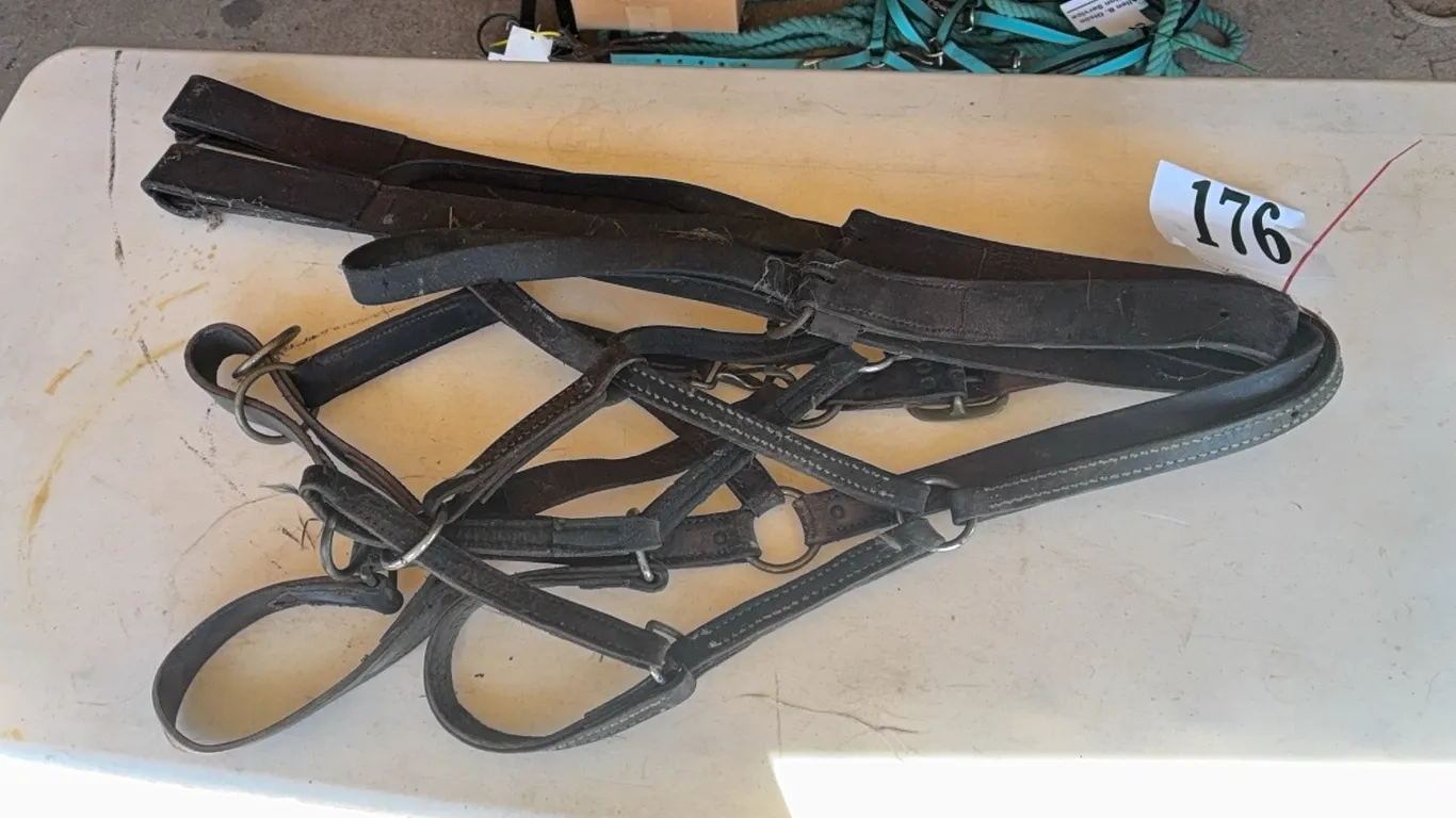 2 MARTINGALE STRAPS & 2 LEATHER HALTERS