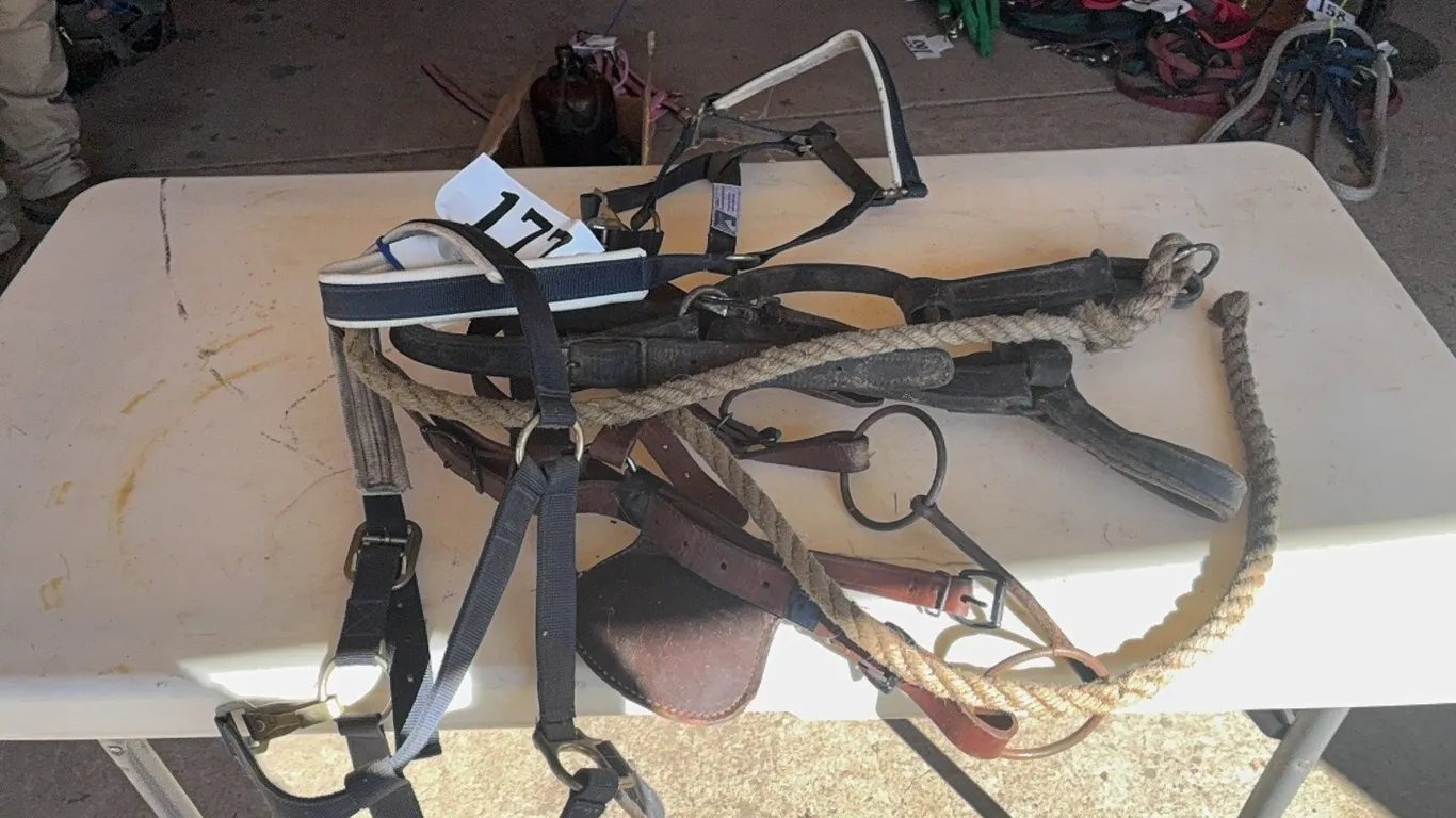 1 BRIDLE & 3 DRAFT HALTERS