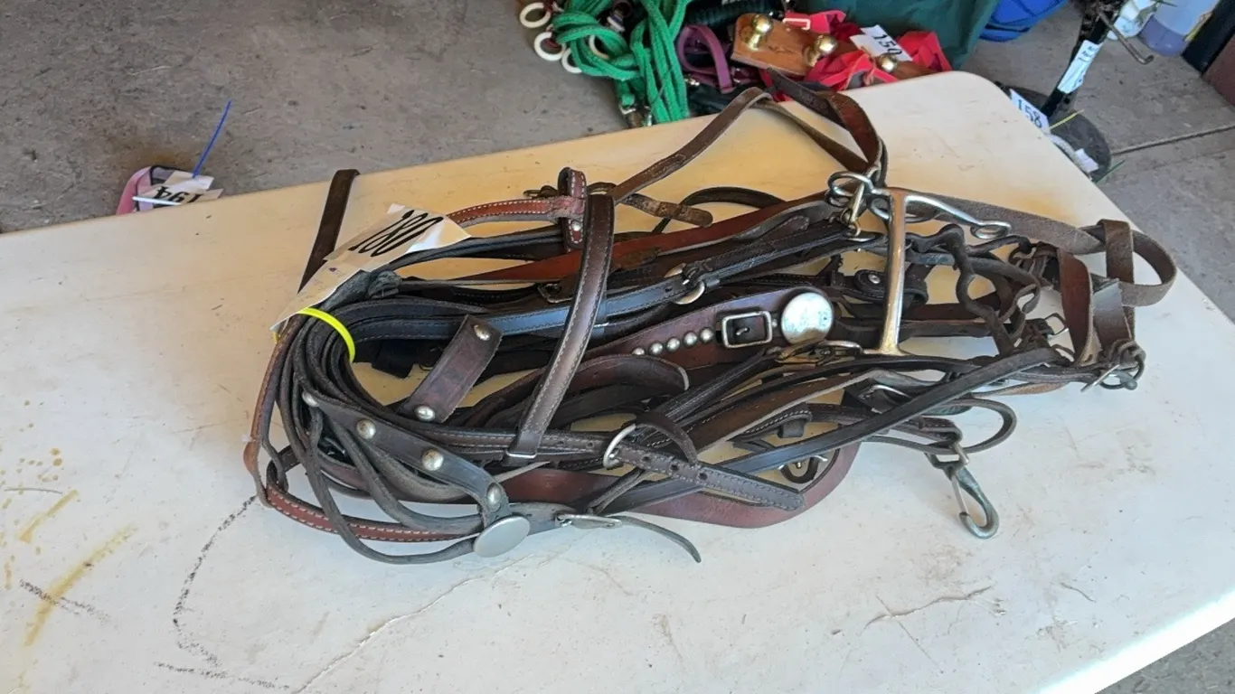 2 BRIDLES w/ BITS, 1 BRIDLE NO BIT & MISC TACK