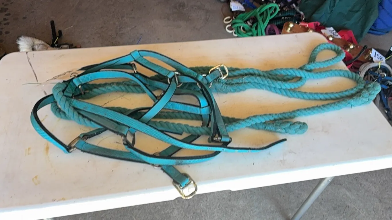 2 GREEN HALTERS, 2 SHANKS