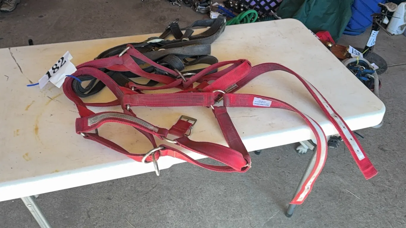 4 DRAFT HALTERS