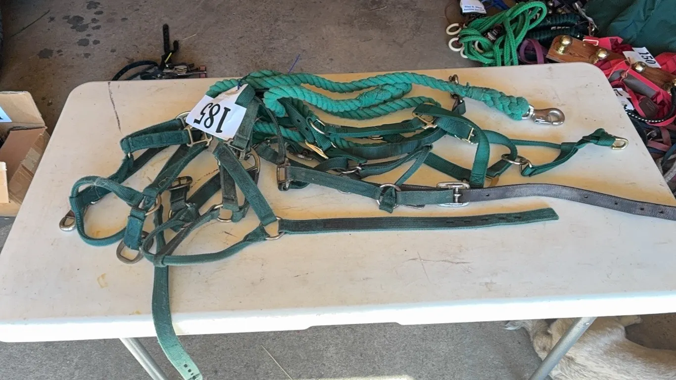 4 HALTERS, 2 SHANKS