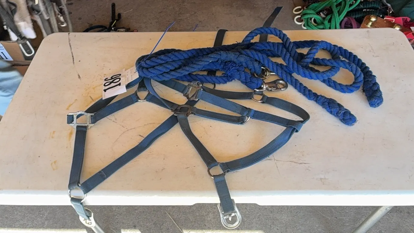 2 BLUE HALTERS, 2 SHANKS