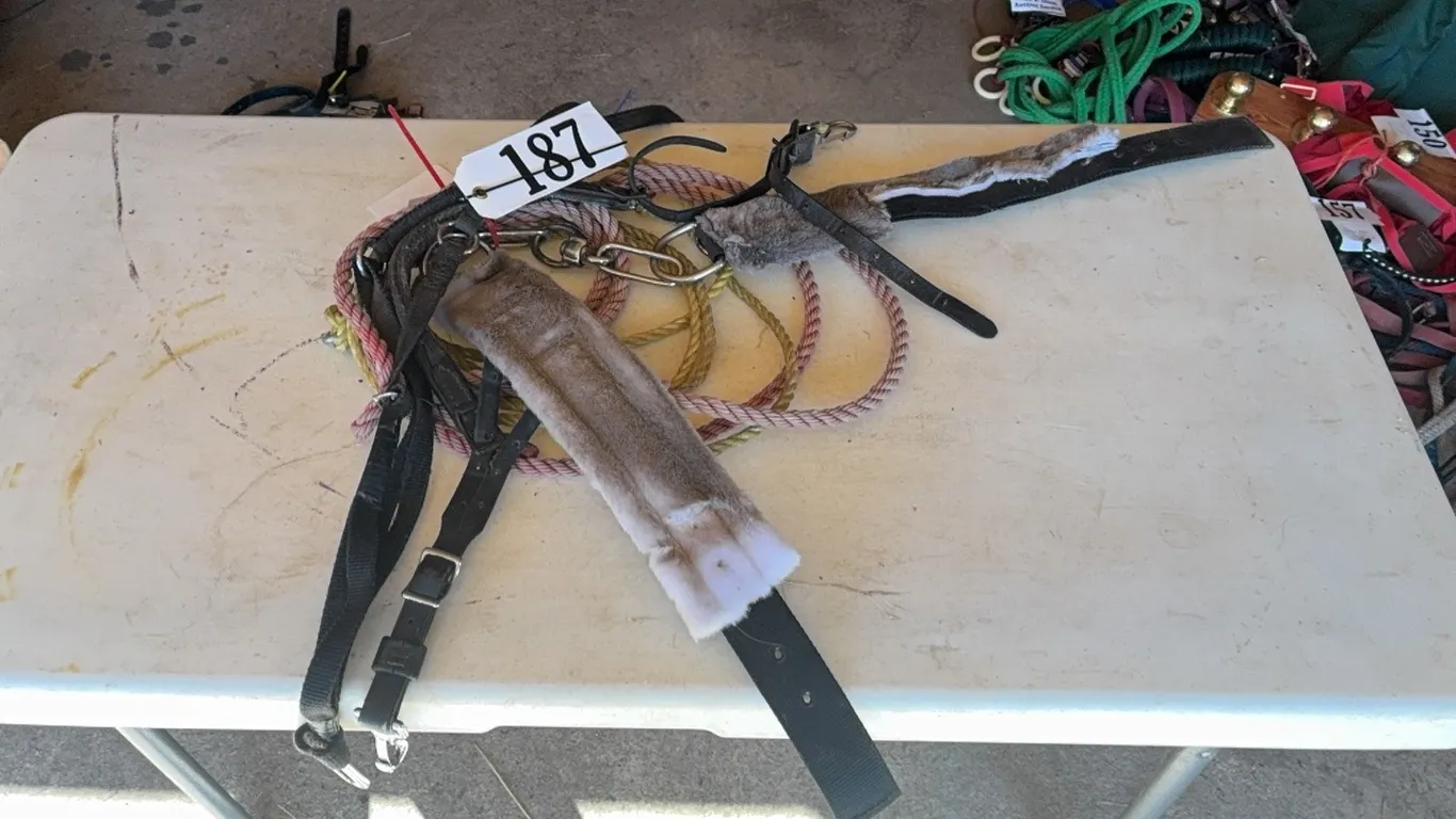 1 SET HOBBLES, 1 CROUPER, 1 ROPE HALTER, 1 TEAM BREAKING ROPE