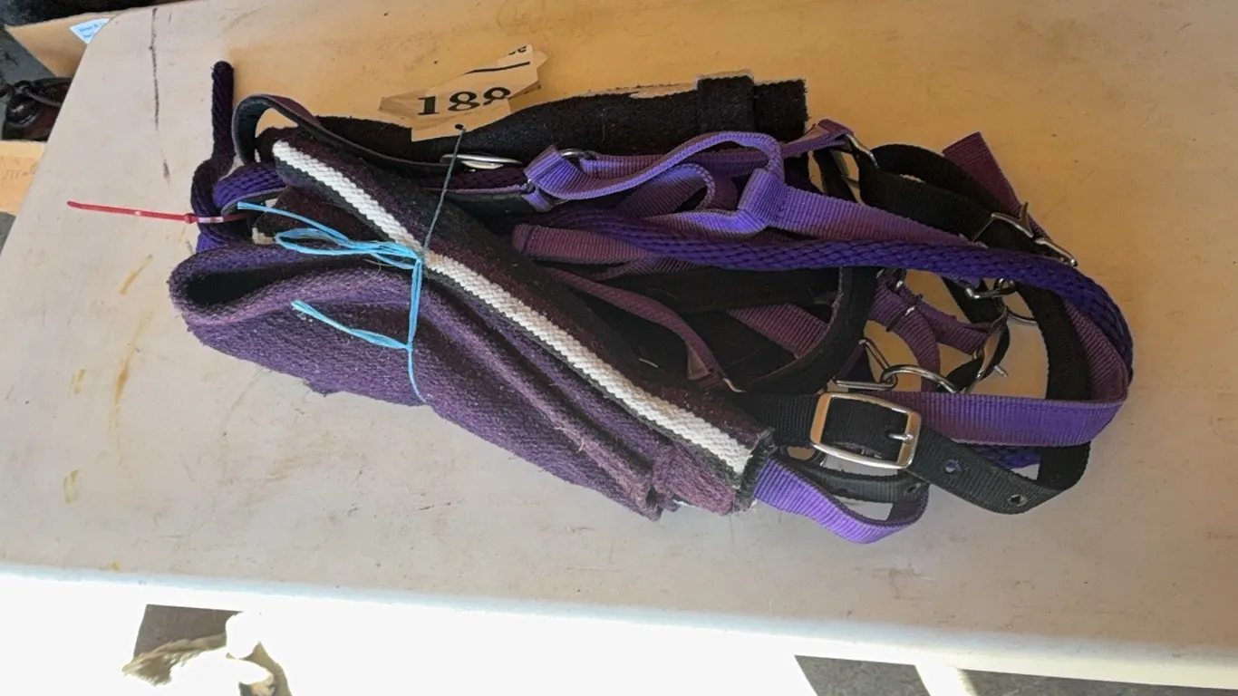 2 PURPLE HALTERS, 1 SHANK, 1 PURPLE SADDLE PAD