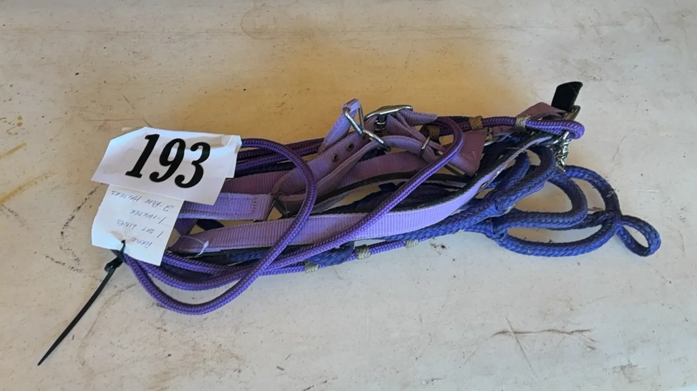 1 SET LINES, 1 HALTER, 2 ROPE HALTERS