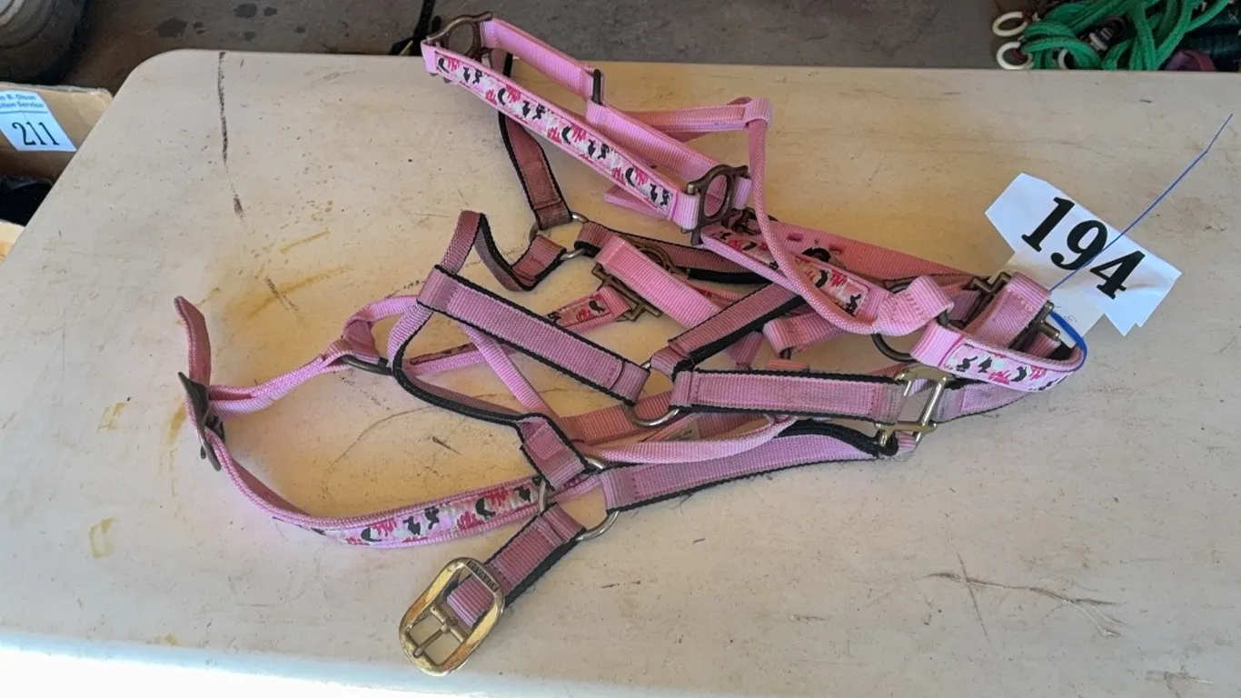 3 PINK HALTERS