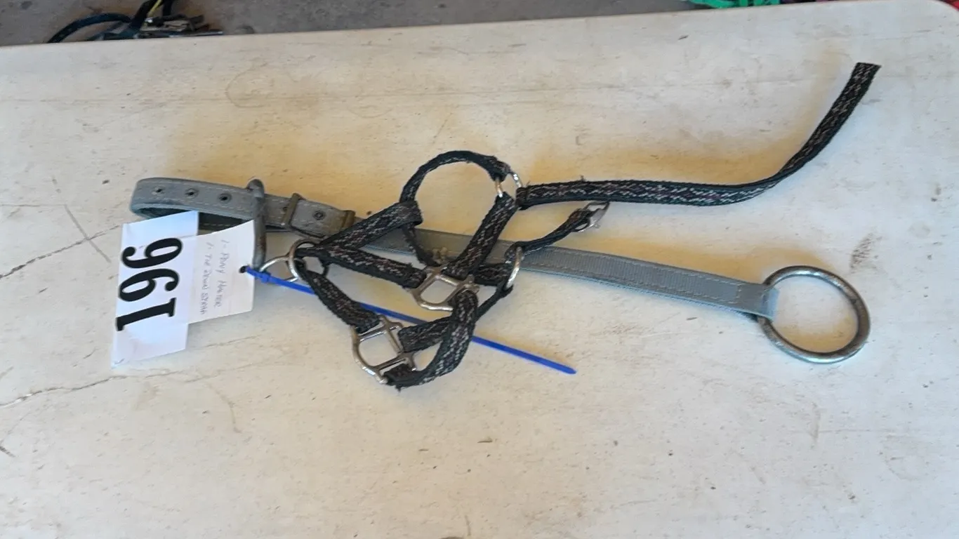 1 PONY HALTER, 1 TIE DOWN