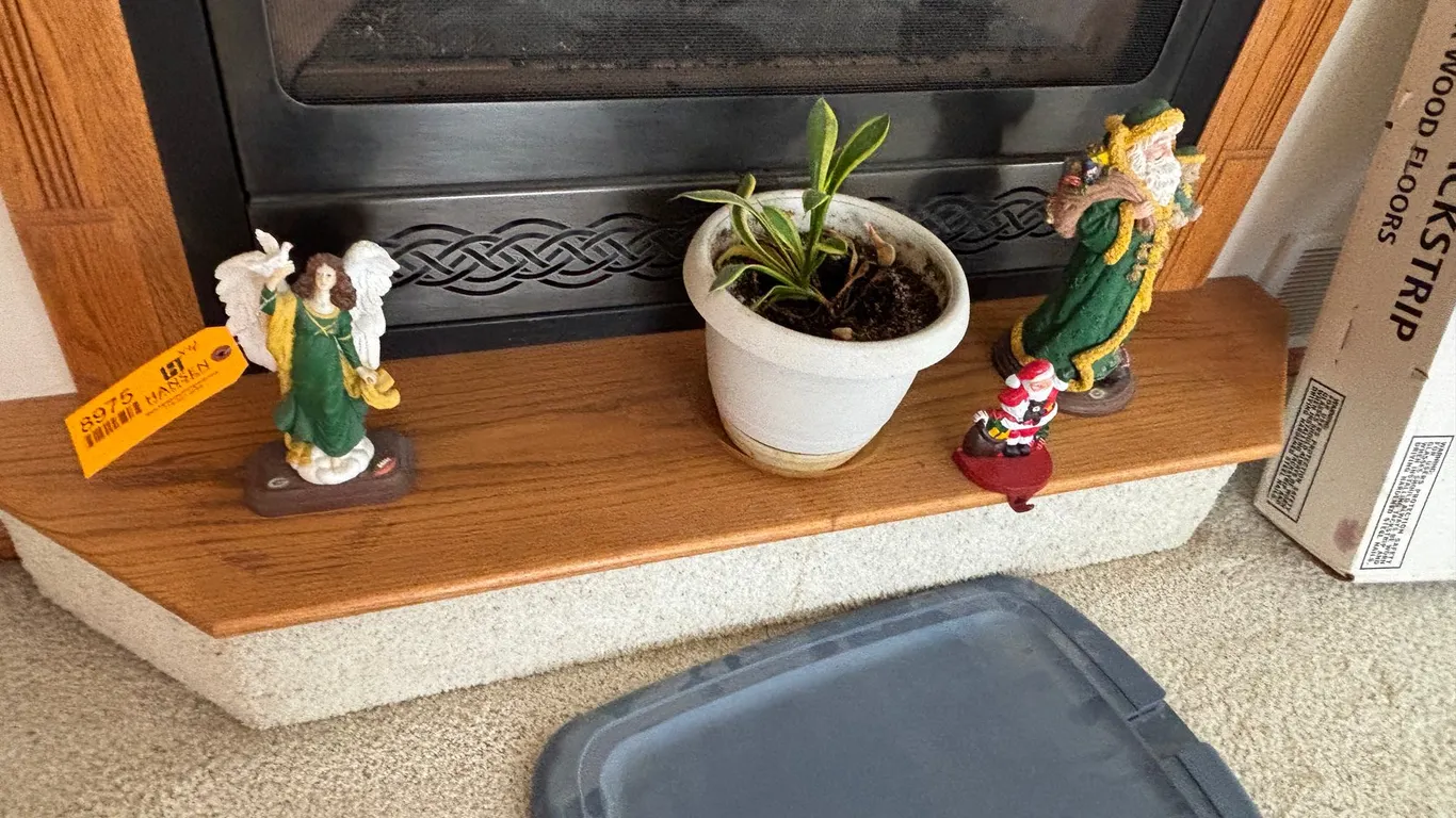 Green Bay Packer Christmas Items