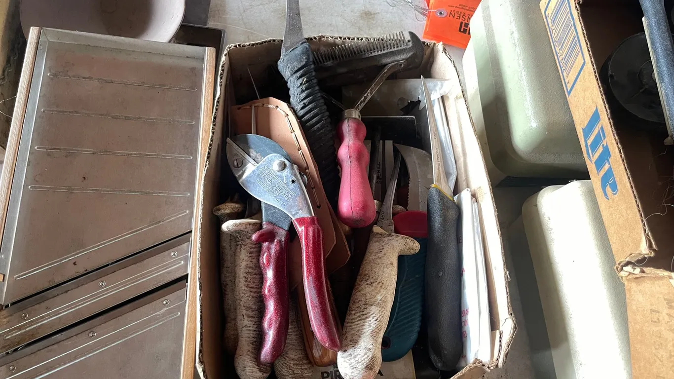 Various Skinning Knives
