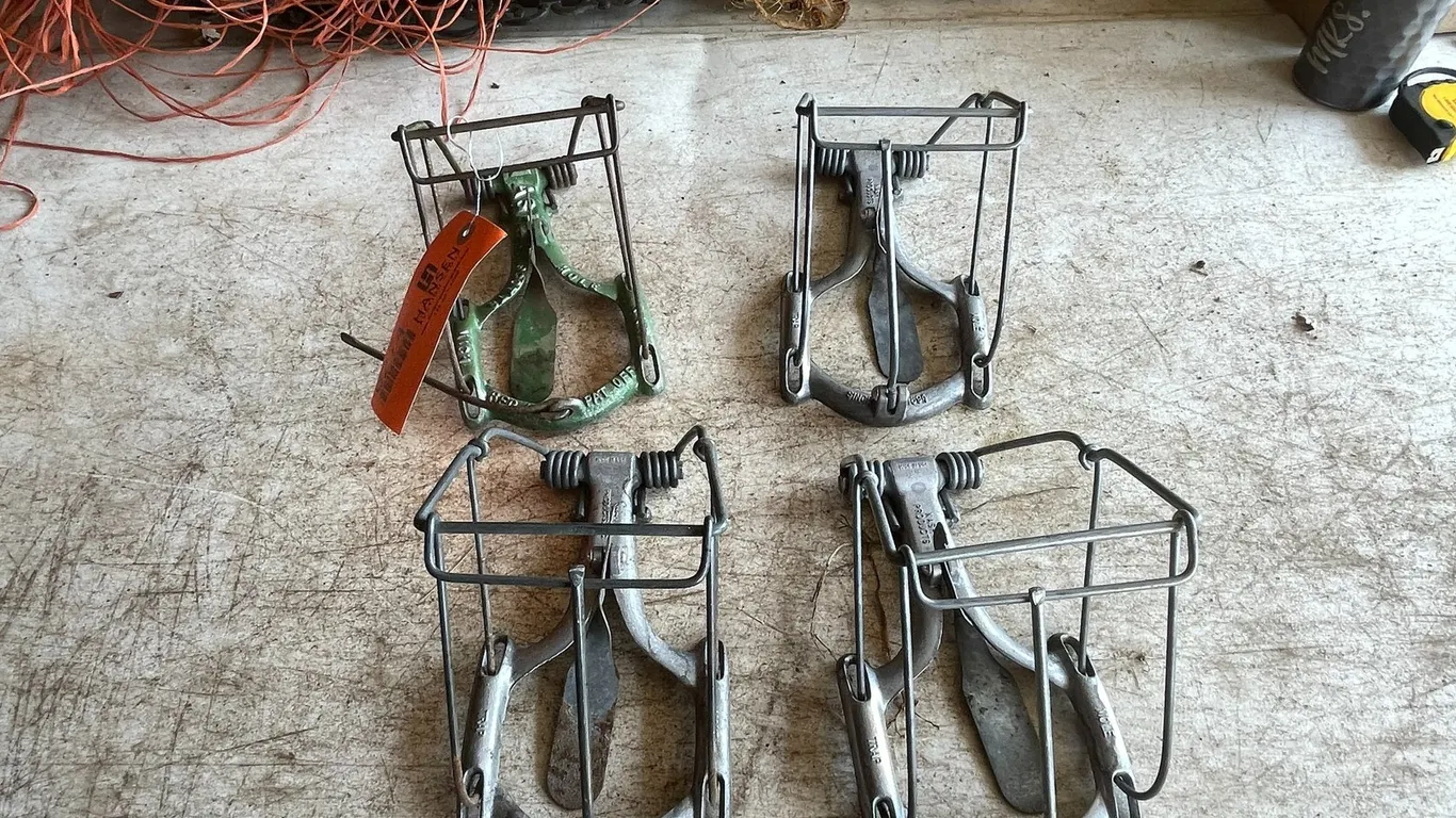 (4) Mole Traps