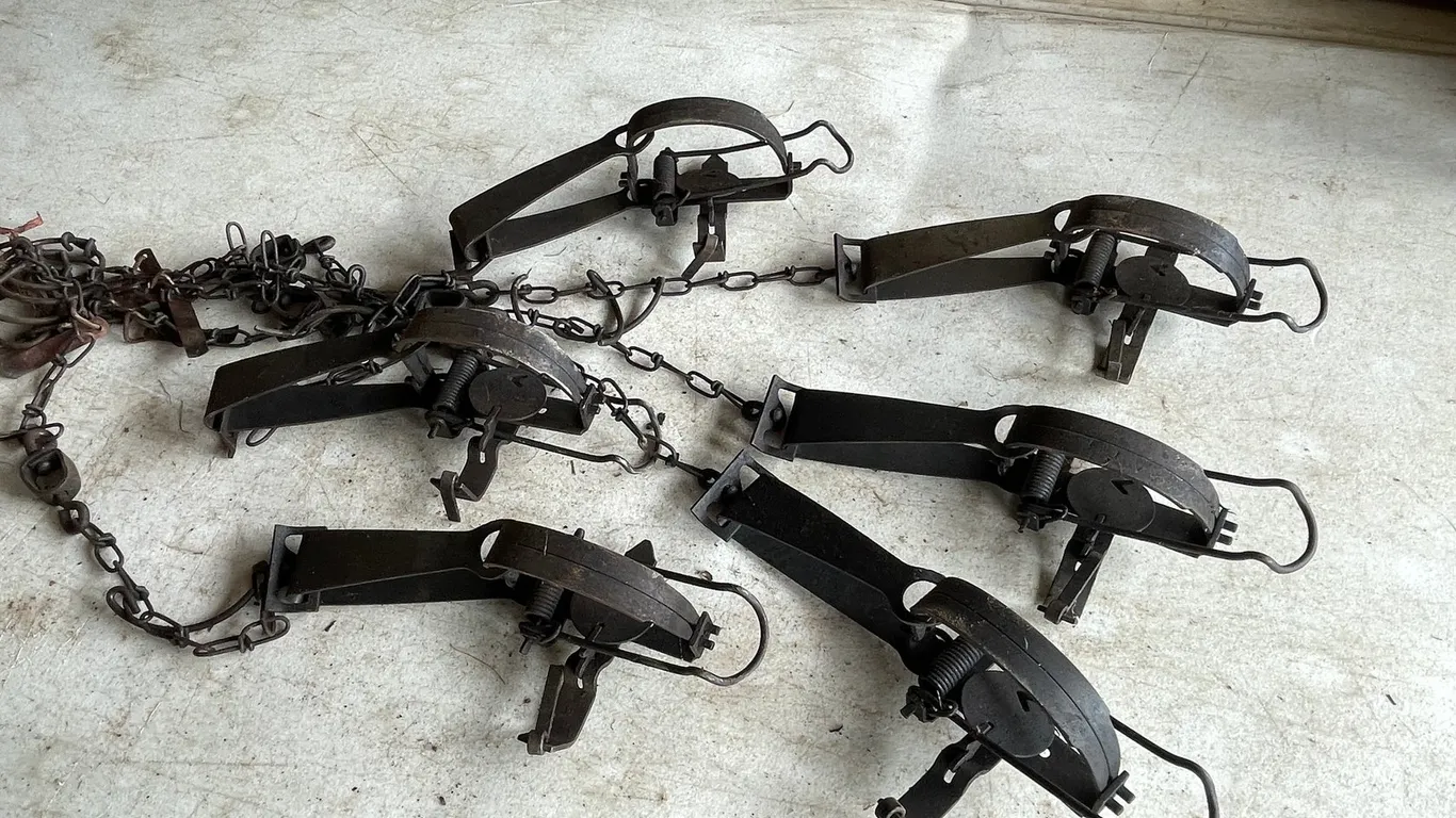 (6) Small Animal Victor Traps