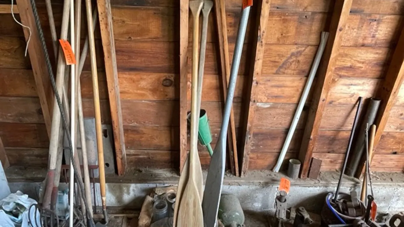 (3) Paddles
