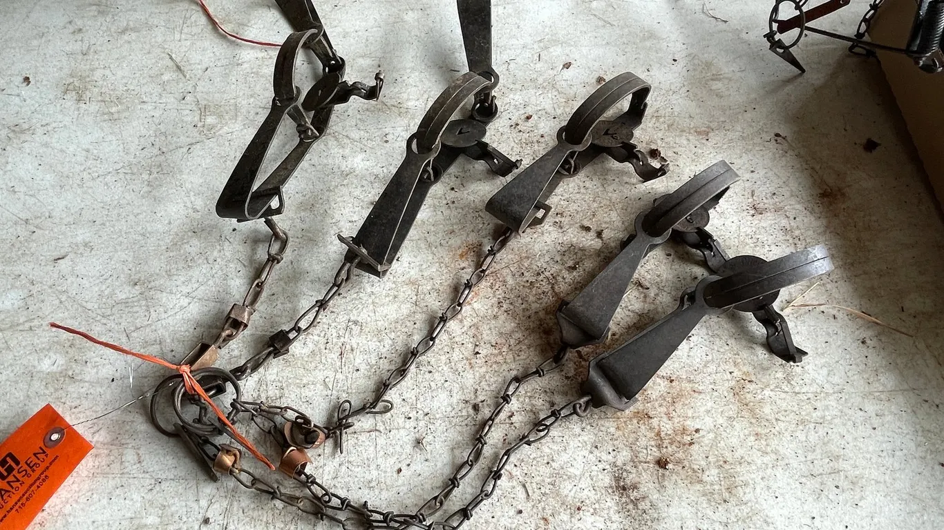 (5) Victor Animal Traps