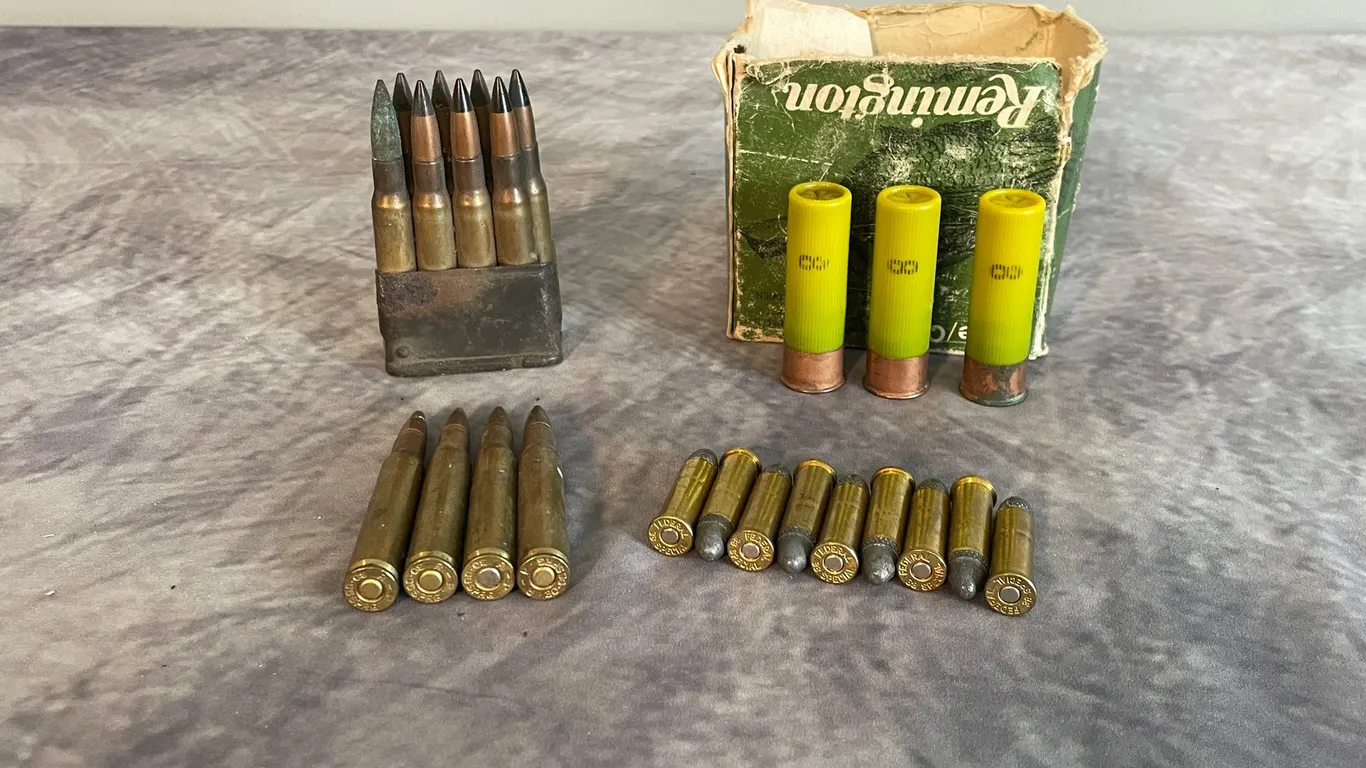 Assortment of Ammunition