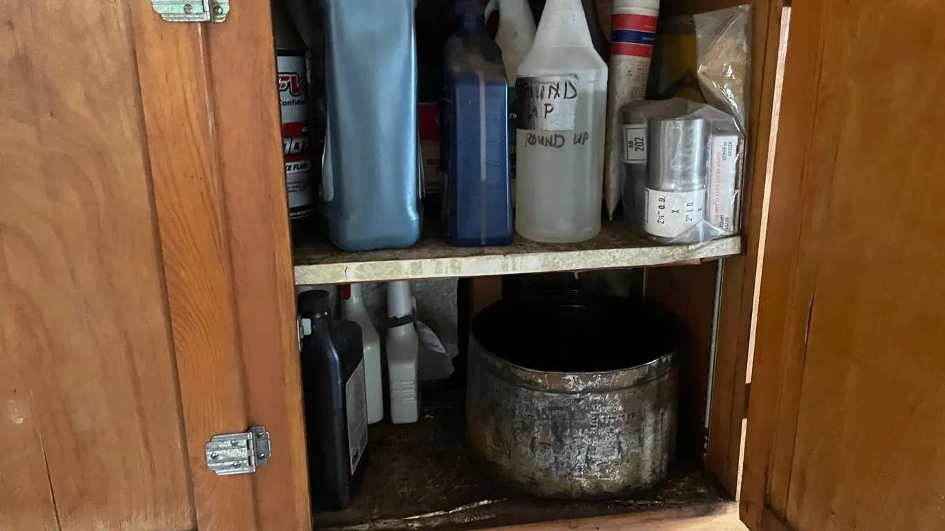 Contents of Cabinet