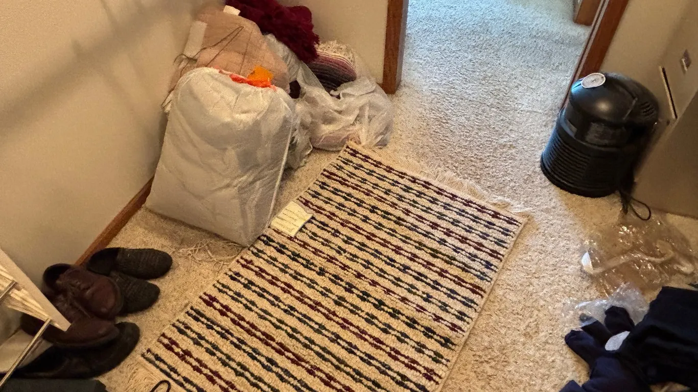 New Throw Rug and Assortment of Blankets